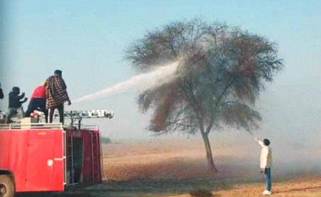 Pesticide Locusts - Urdu Science Monthly